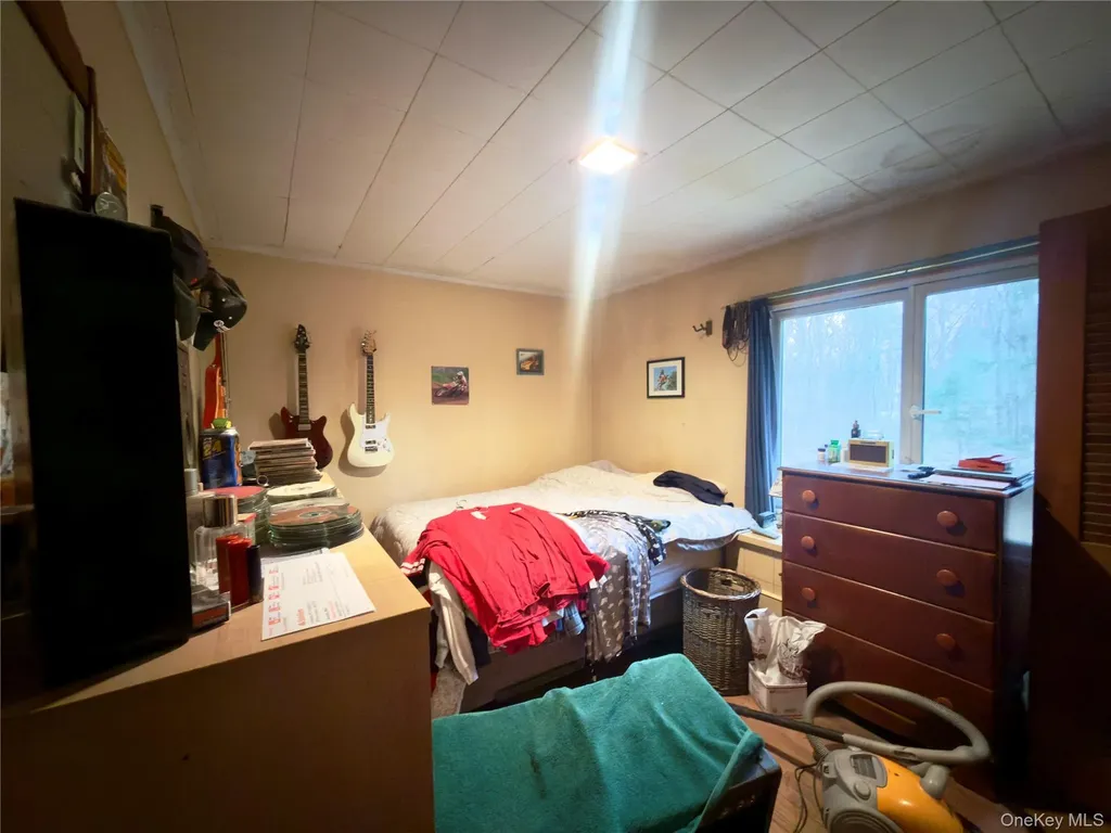 6 Pine Tree Lane Hyde Park NY 12538