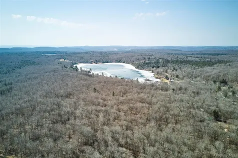 60 Mountain Terrace Road Parksville NY 12768