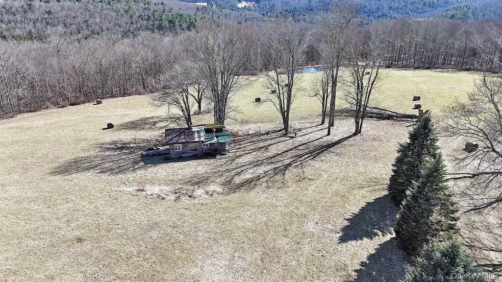 57 Boettger Road Callicoon NY 12723