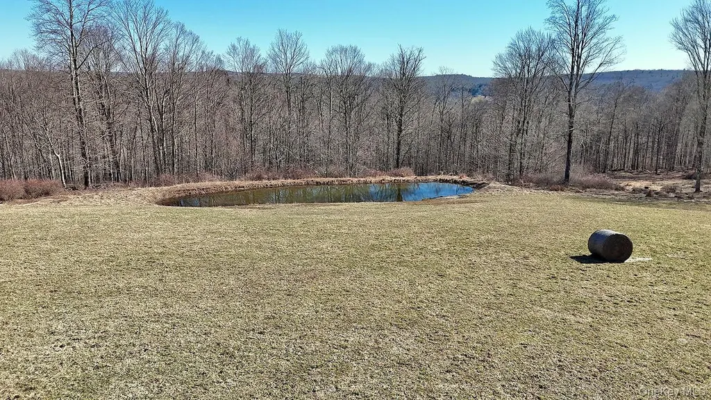 57 Boettger Road Callicoon NY 12723