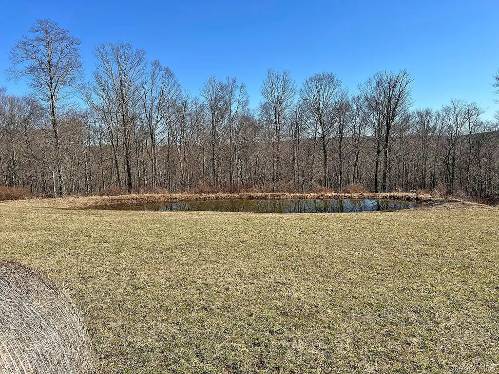 57 Boettger Road Callicoon NY 12723