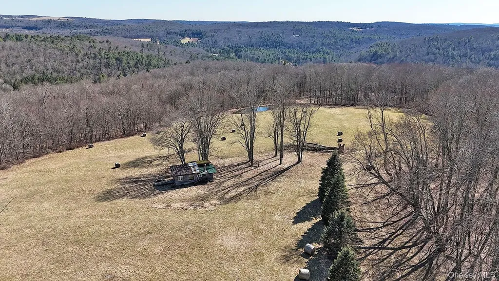 57 Boettger Road Callicoon NY 12723