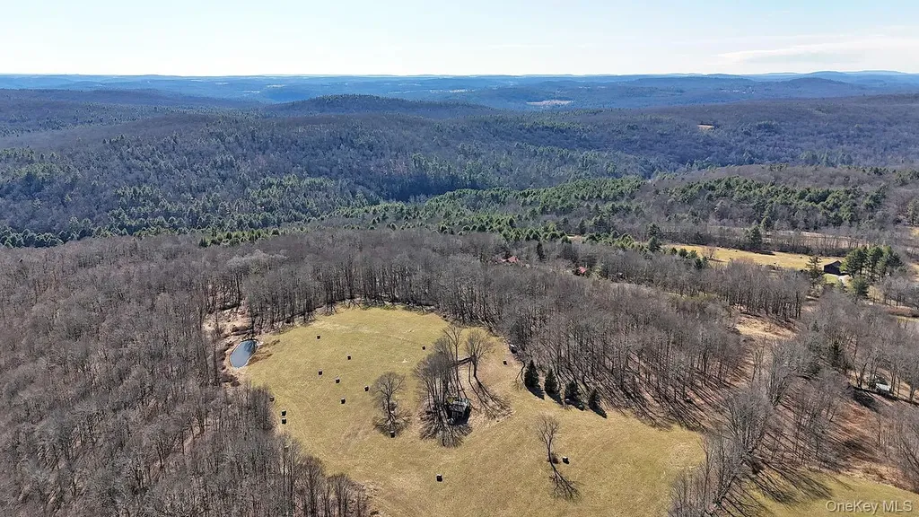 57 Boettger Road Callicoon NY 12723