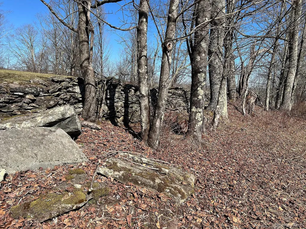 57 Boettger Road Callicoon NY 12723
