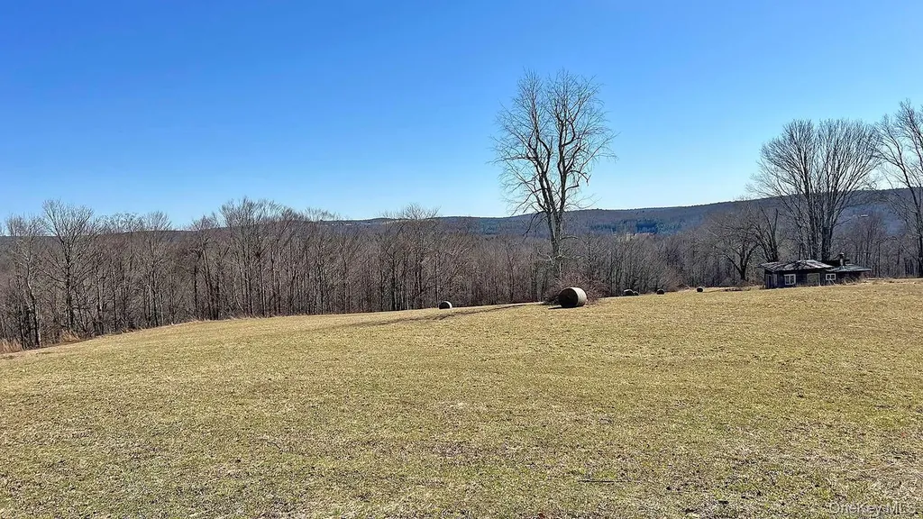 57 Boettger Road Callicoon NY 12723