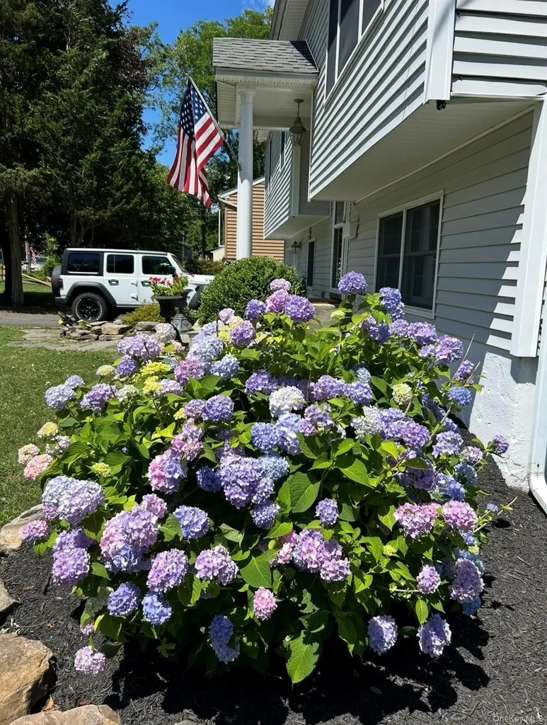 41 Cornell Avenue Red Hook NY 12571