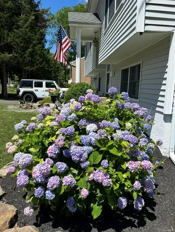 41 Cornell Avenue Red Hook NY 12571