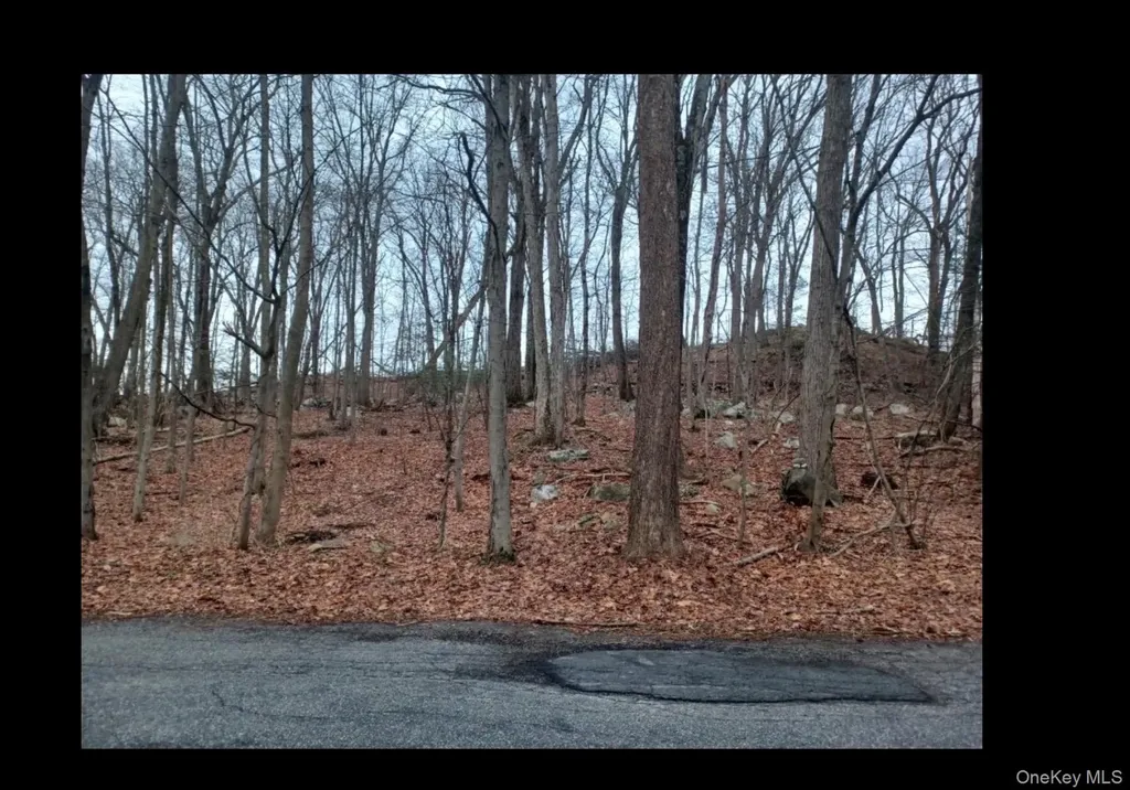 27 Jean Drive Cortlandt Manor NY 10567