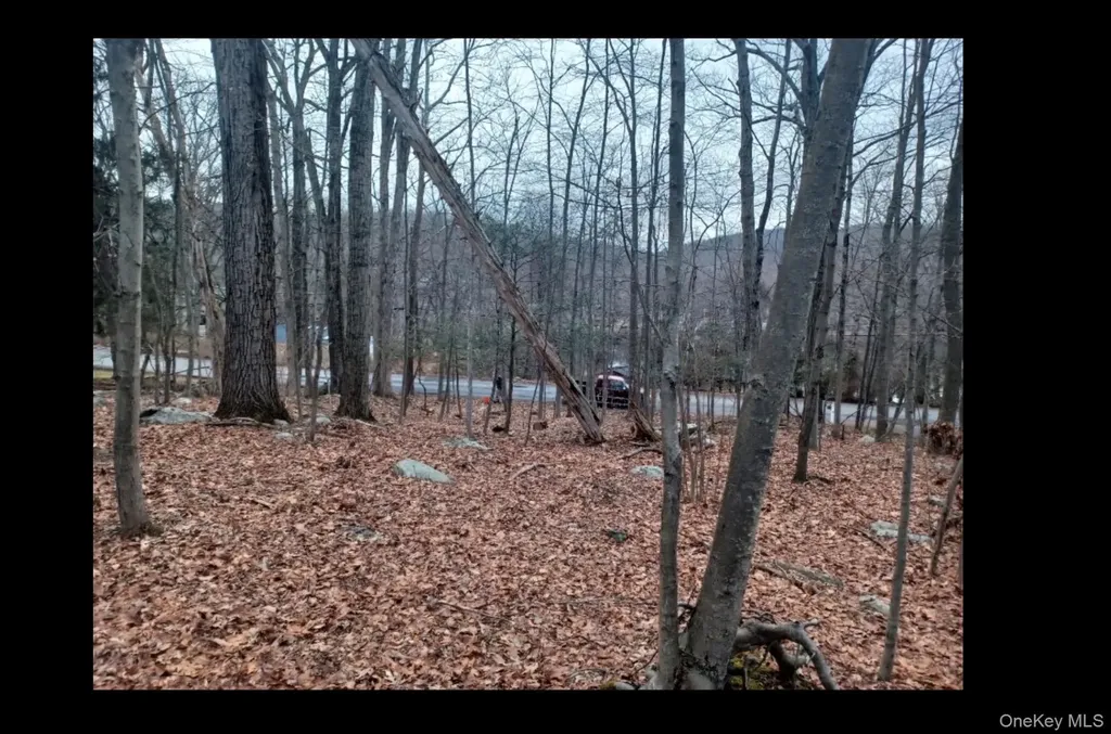 27 Jean Drive Cortlandt Manor NY 10567