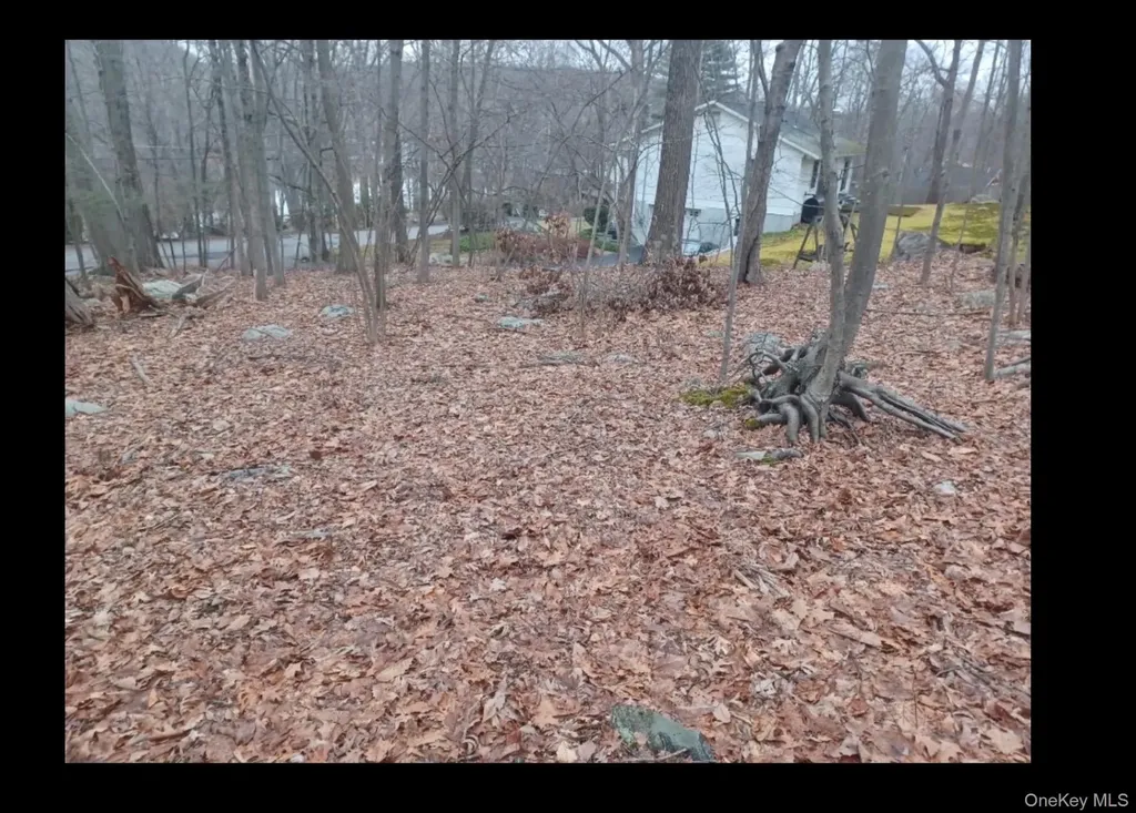 27 Jean Drive Cortlandt Manor NY 10567