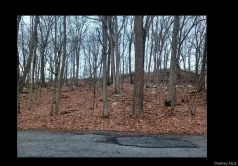27 Jean Drive Cortlandt Manor NY 10567