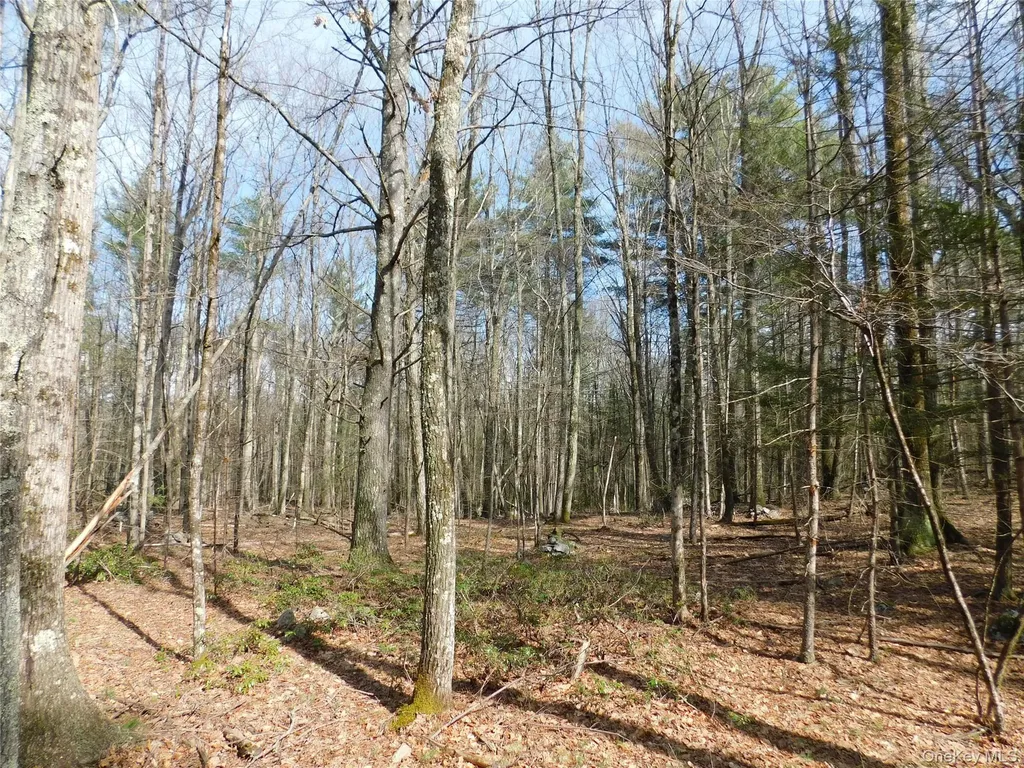 Tbd Wright Road Kerhonkson NY 12446
