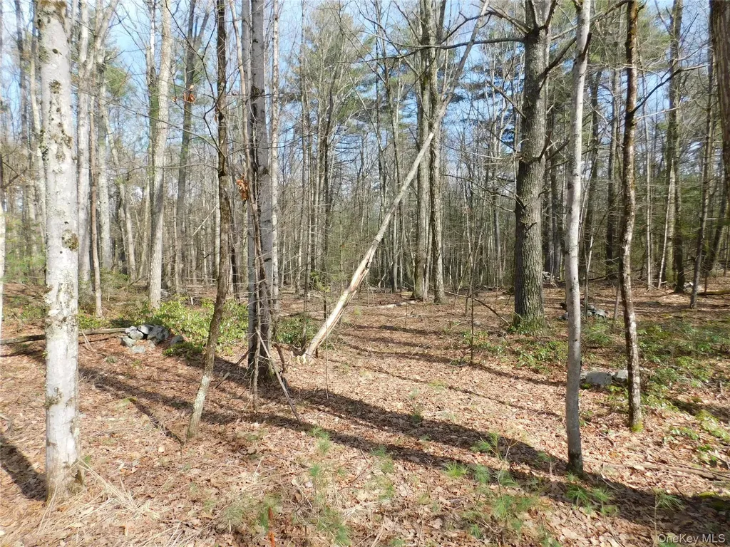 Tbd Wright Road Kerhonkson NY 12446