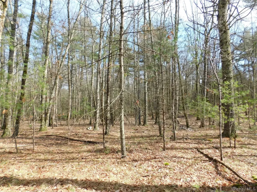 Tbd Wright Road Kerhonkson NY 12446