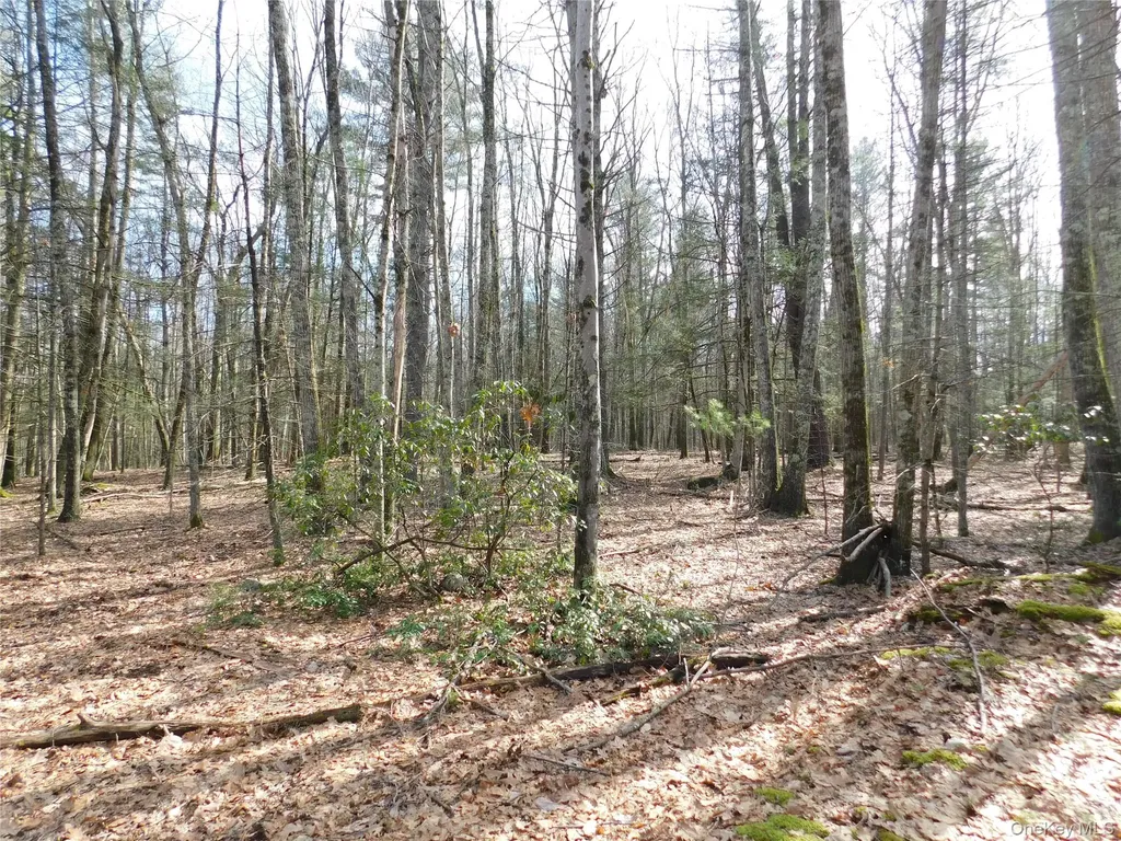 Tbd Wright Road Kerhonkson NY 12446