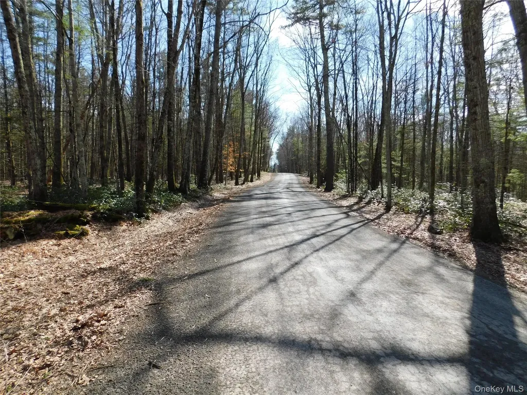 Tbd Wright Road Kerhonkson NY 12446