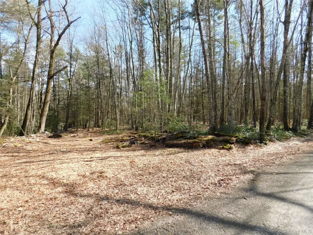 Tbd Wright Road Kerhonkson NY 12446