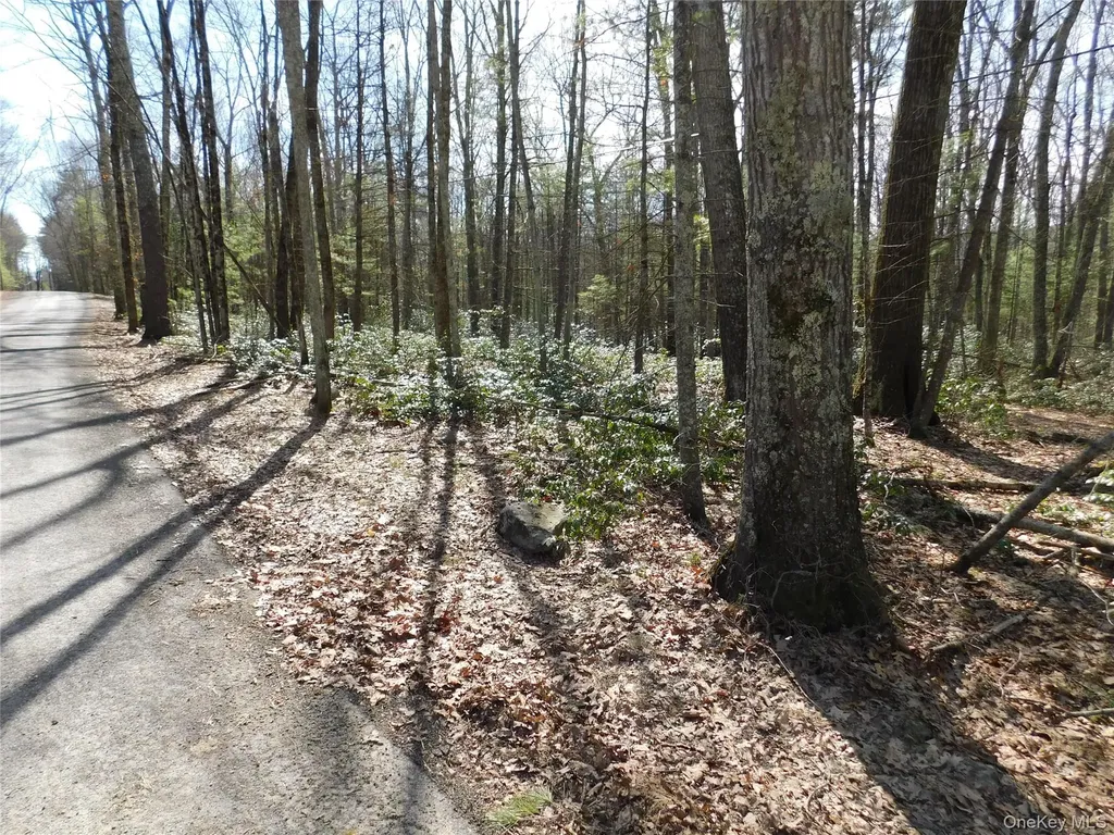 Tbd Wright Road Kerhonkson NY 12446