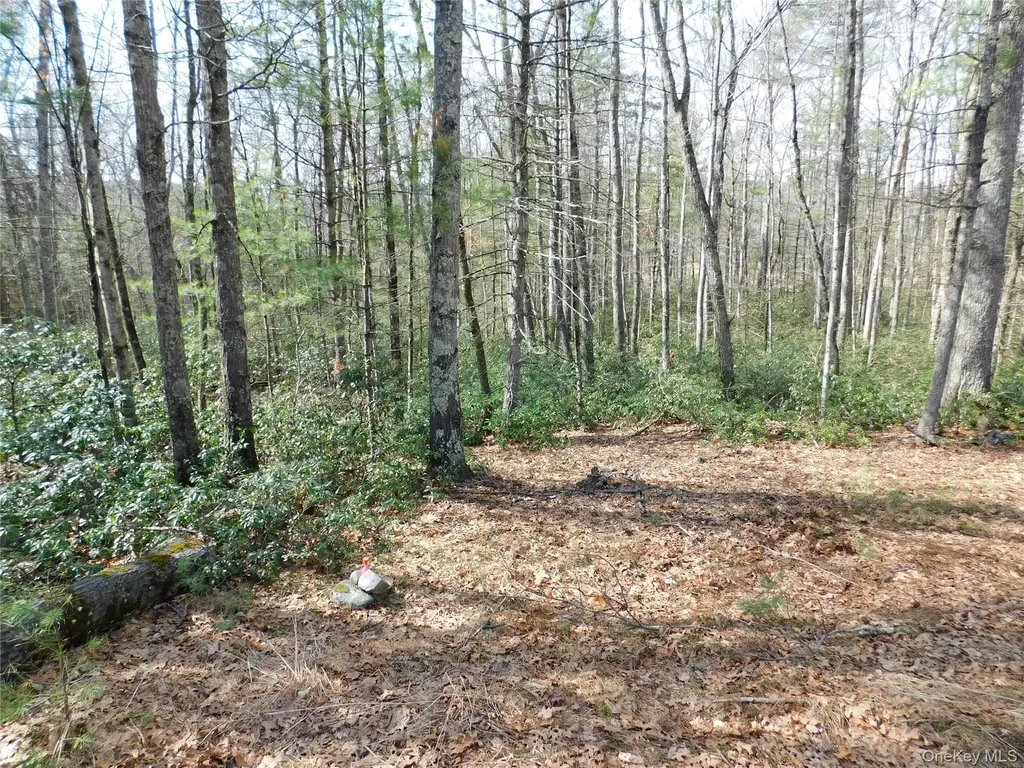 Tbd Wright Road Kerhonkson NY 12446