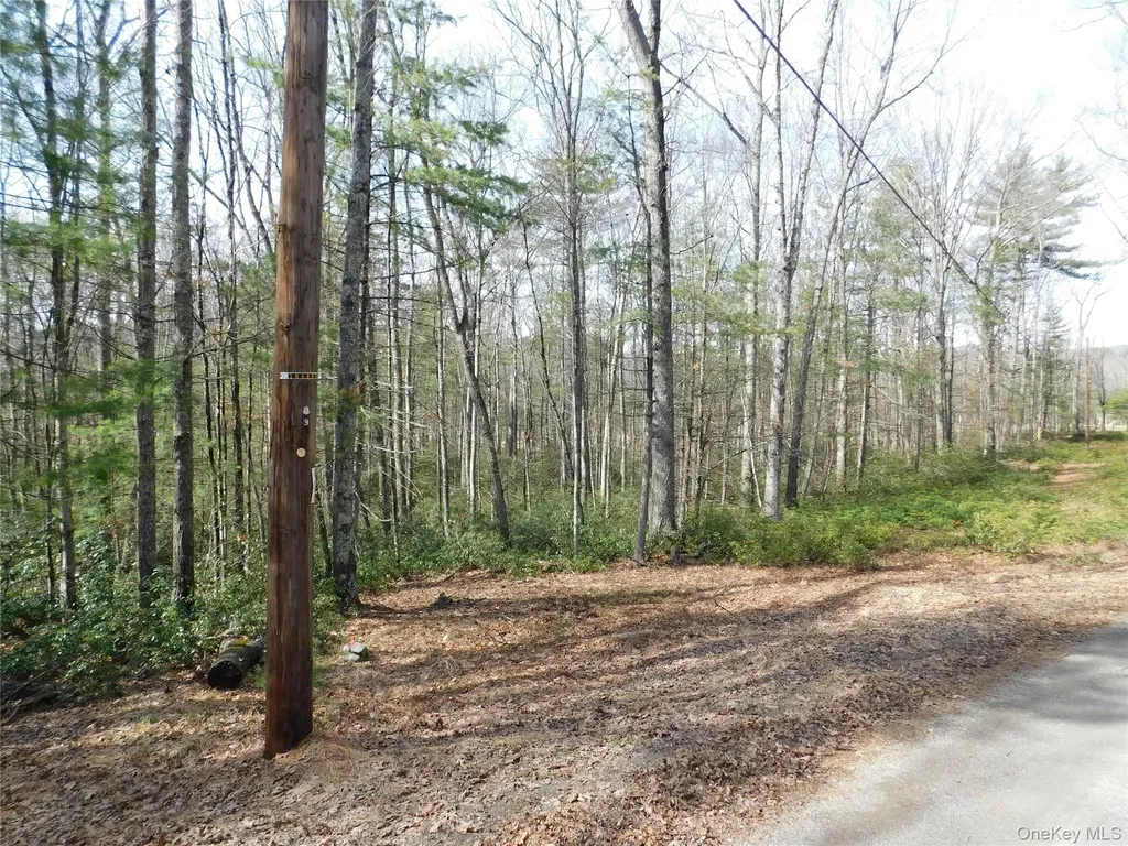 Tbd Wright Road Kerhonkson NY 12446