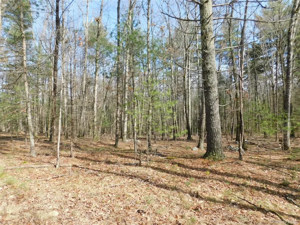 Tbd Wright Road Kerhonkson NY 12446