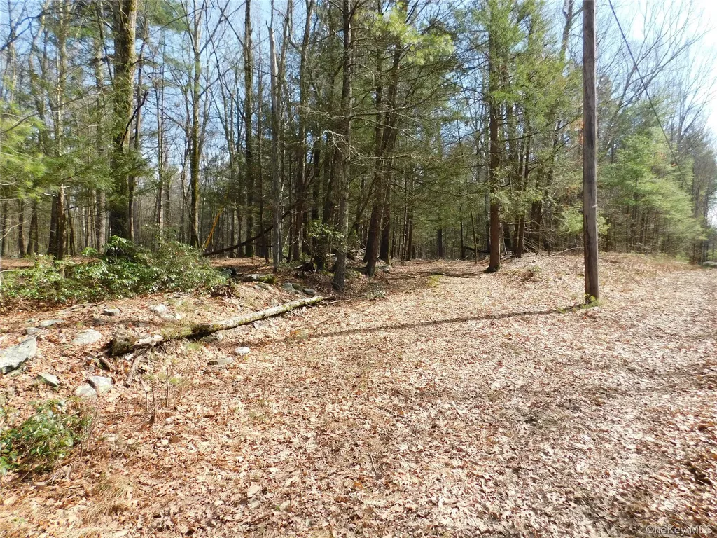 Tbd Wright Road Kerhonkson NY 12446