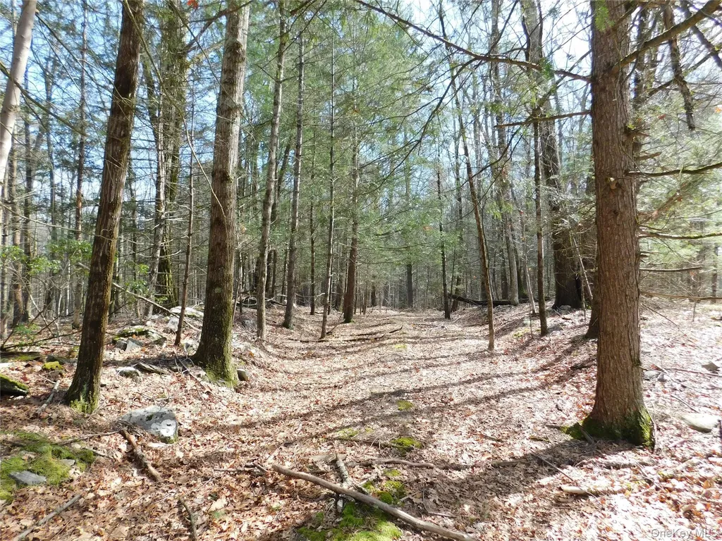 Tbd Wright Road Kerhonkson NY 12446