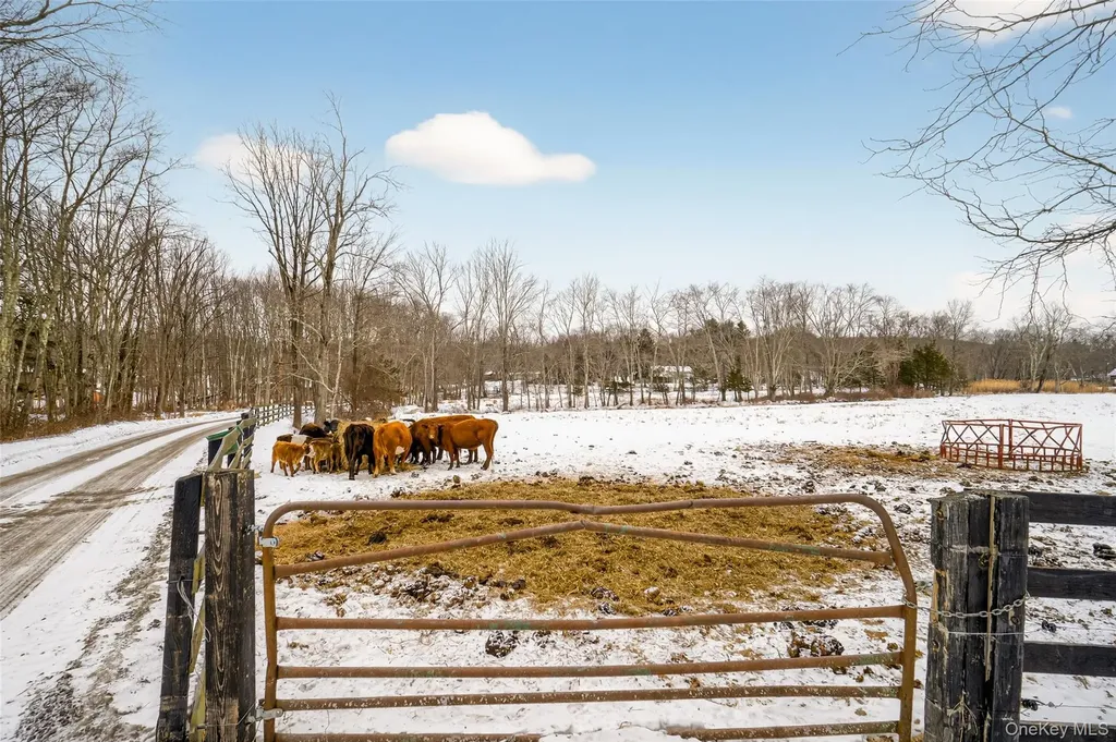 408 Bull Mill Road Chester NY 10918