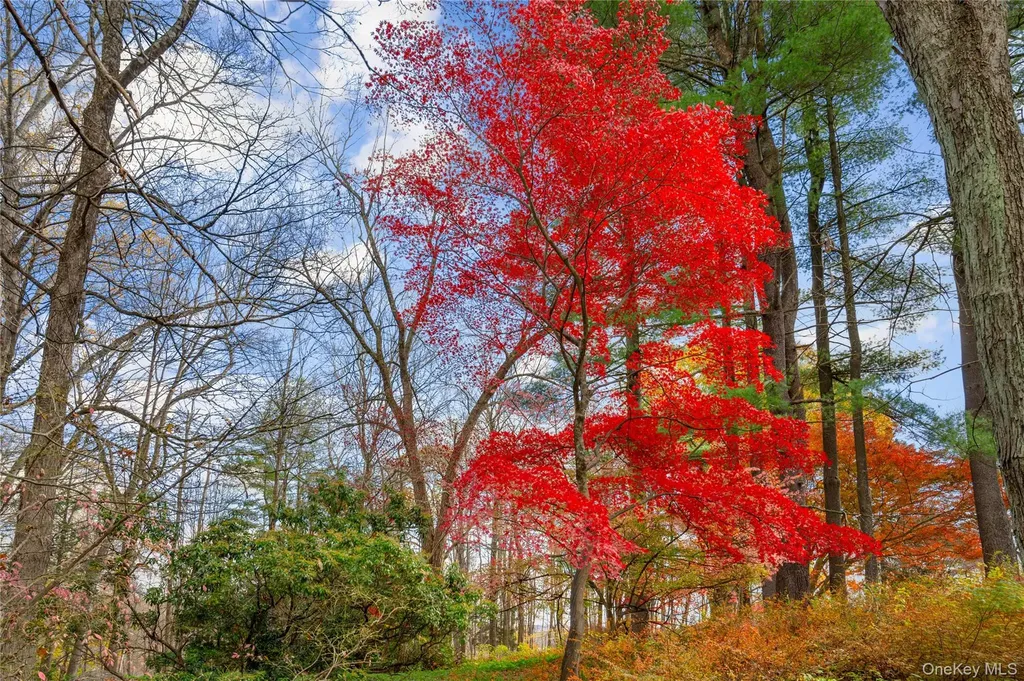 115 Old Roaring Brook Road Mount Kisco NY 10549
