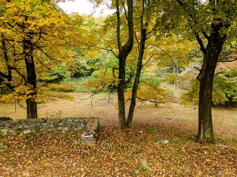 115 Old Roaring Brook Road Mount Kisco NY 10549