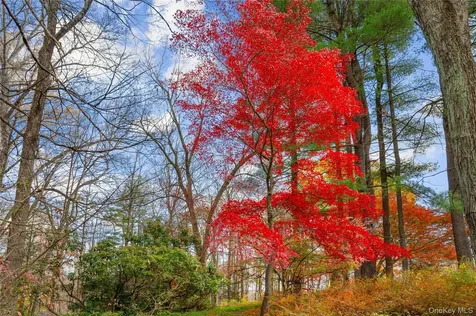 115 Old Roaring Brook Road Mount Kisco NY 10549