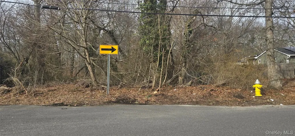 VL(36) Mastic Boulevard Mastic NY 11950