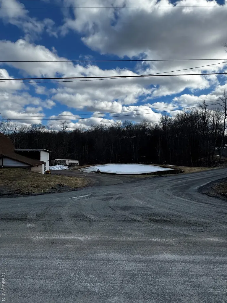 Cole Road Fallsburg NY 12733