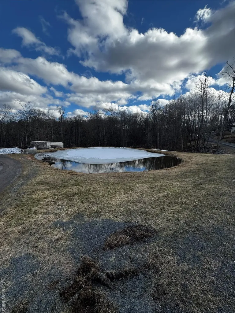 Cole Road Fallsburg NY 12733
