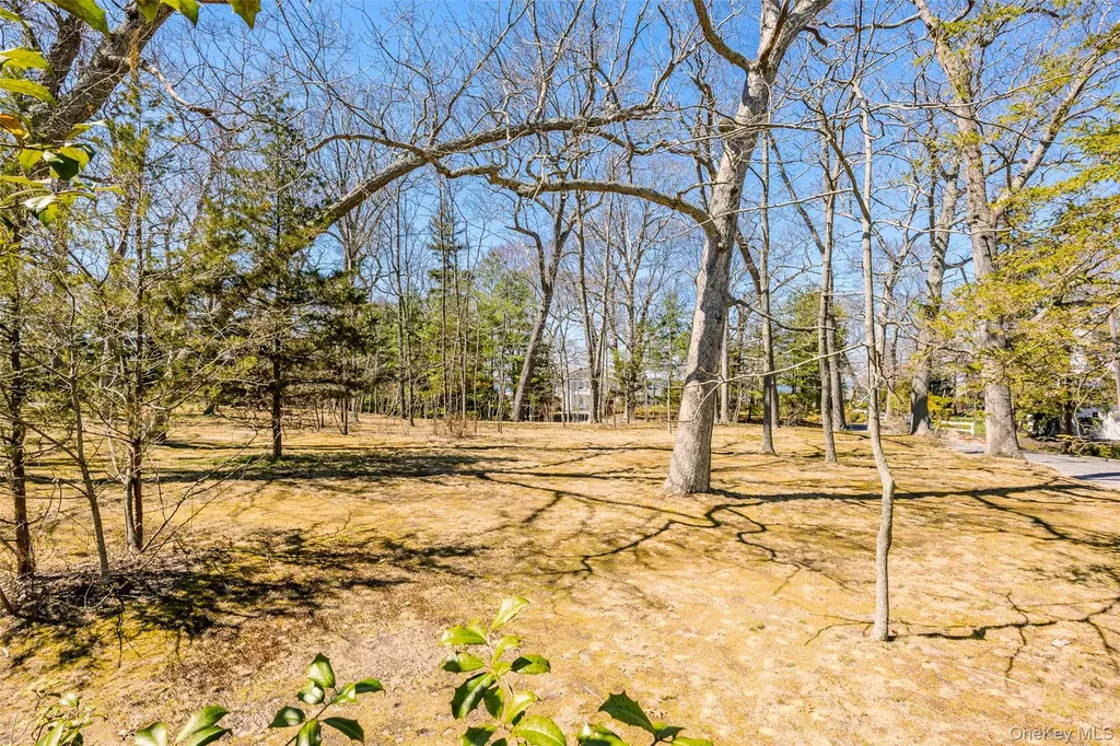8 Terrell Lane Stony Brook NY 11790