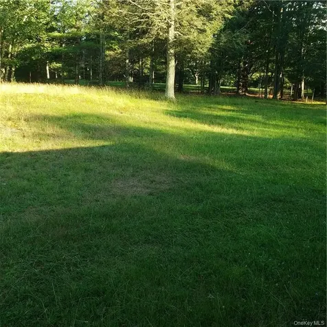 167 Old Turnpike Road Woodridge NY 12789