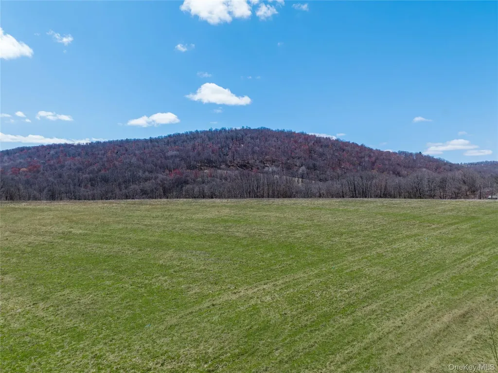 Lot # 8 Mcghee Hill Road Millerton NY 12546
