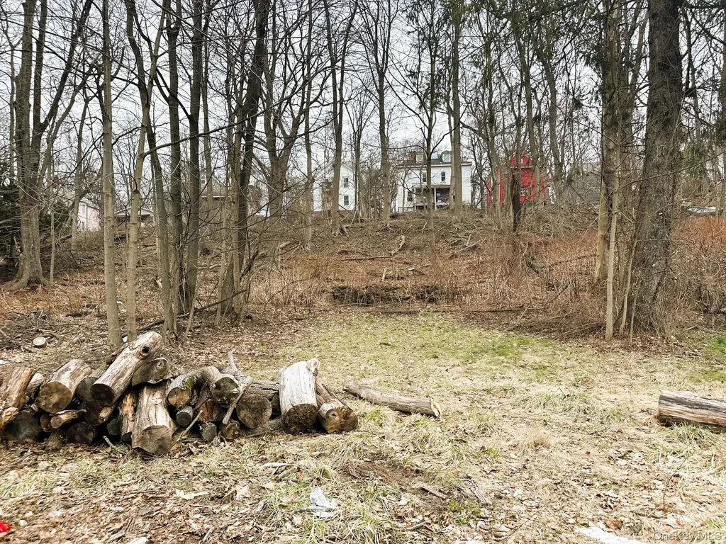 197 N Hamilton Street Poughkeepsie NY 12601