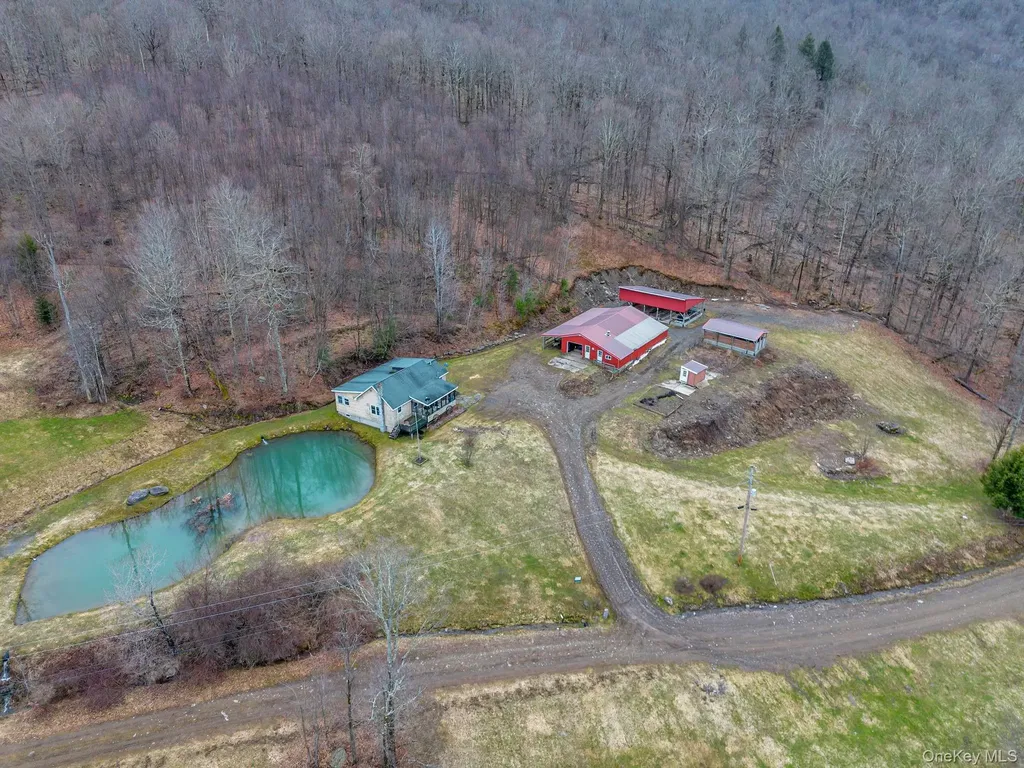 540 Lewis Road Walton NY 13856