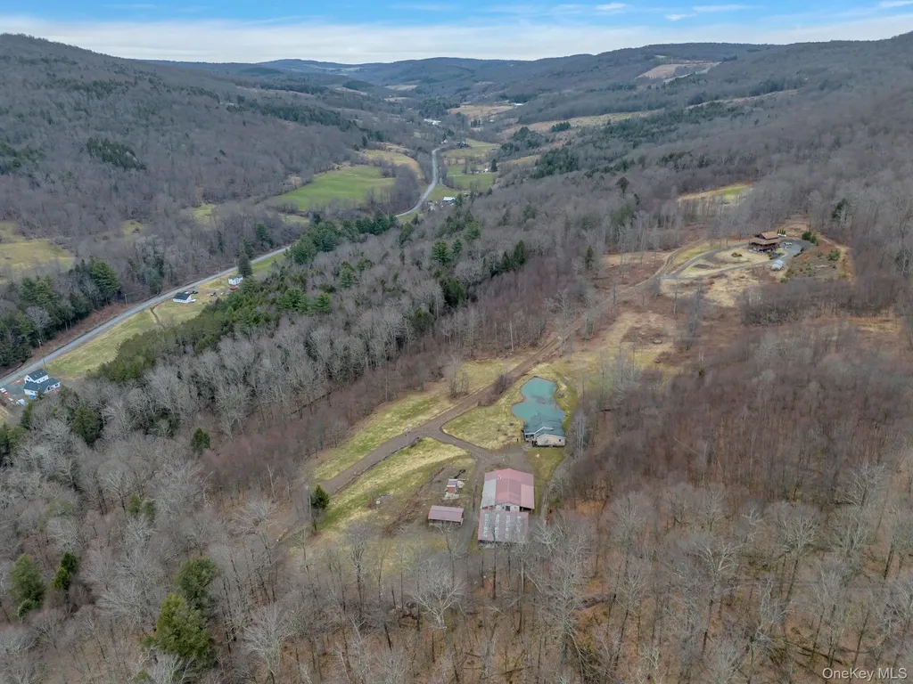 540 Lewis Road Walton NY 13856