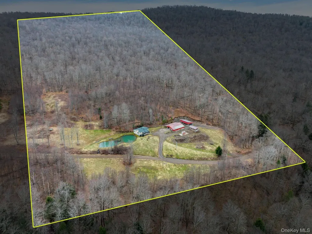 540 Lewis Road Walton NY 13856