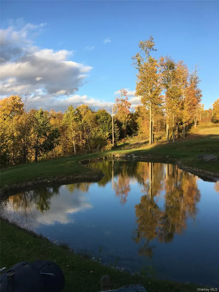 540 Lewis Road Walton NY 13856