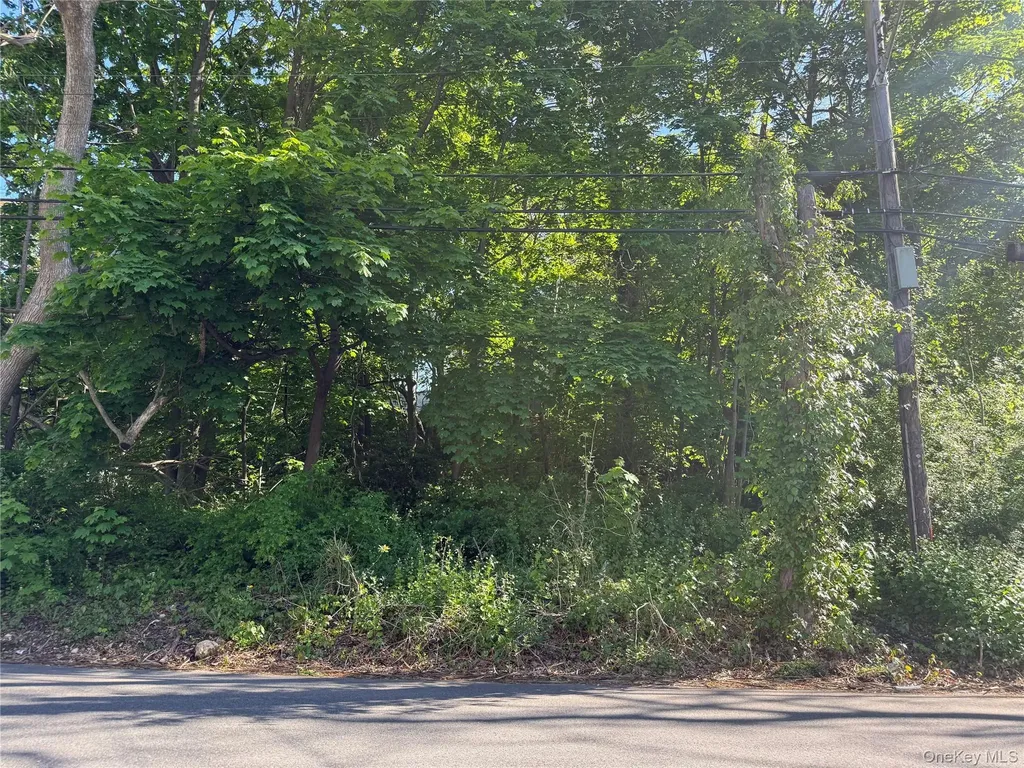 0 Central Islip Boulevard Ronkonkoma NY 11779