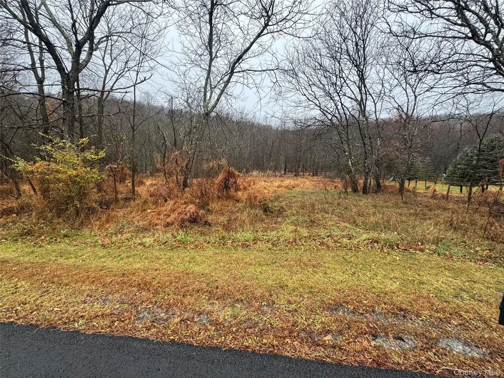 41 Enright Lane Montgomery NY 12549