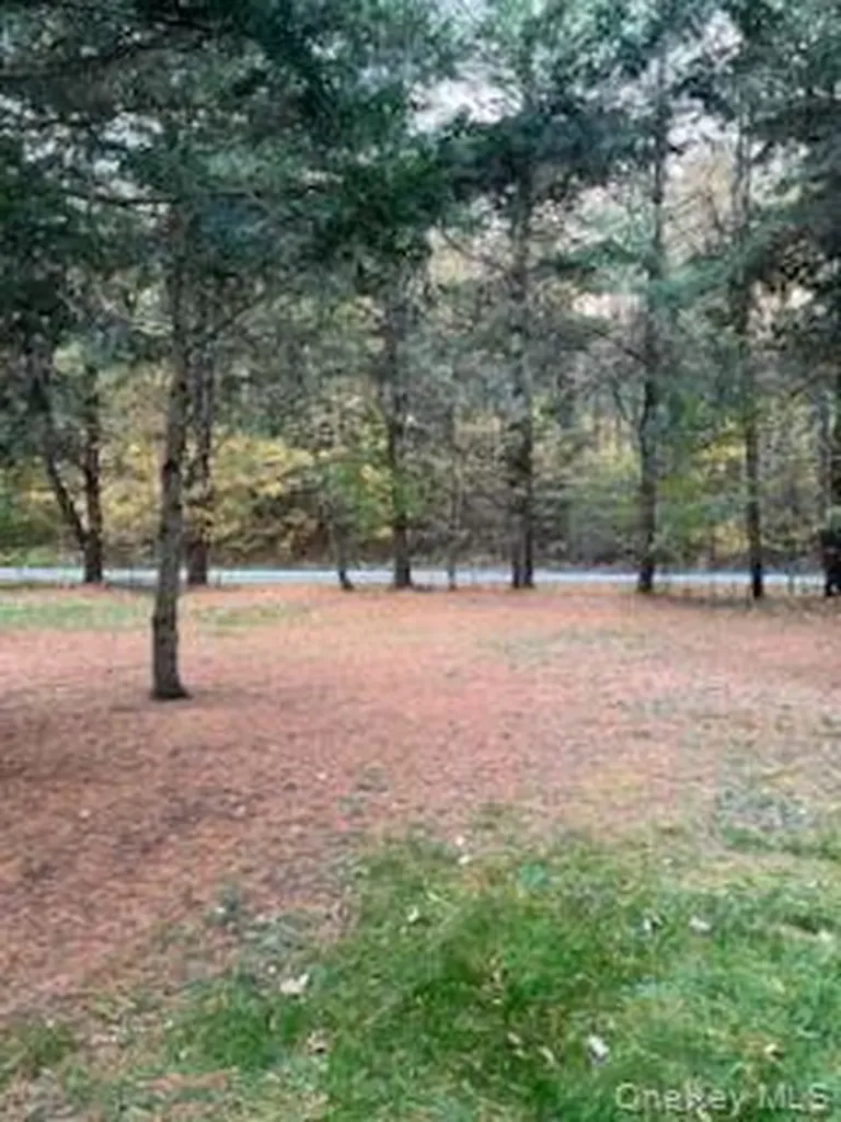 30 Soho Circle Fallsburg NY 12759