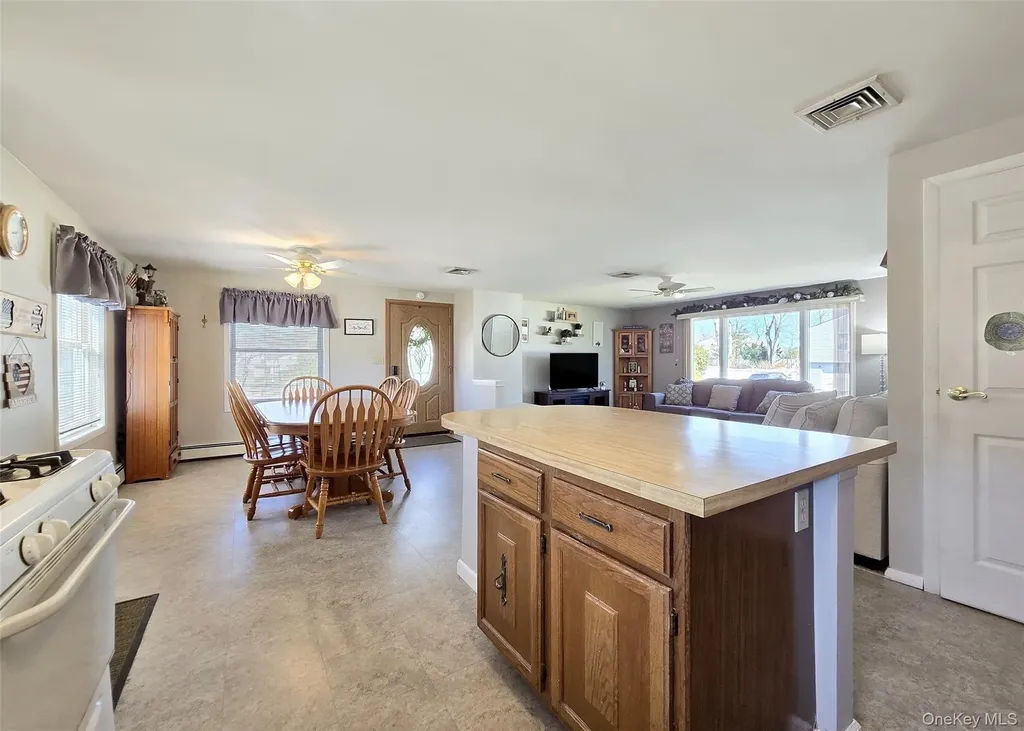 146 Webster Avenue Ronkonkoma NY 11779