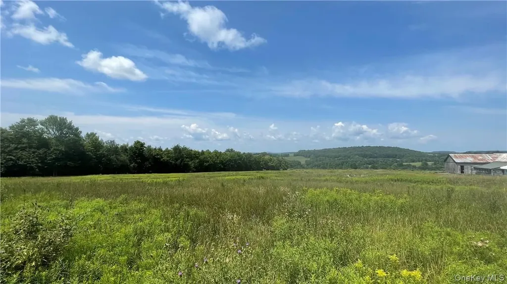 Beechwoods Road Callicoon NY 12723