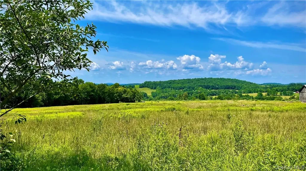 Beechwoods Road Callicoon NY 12723