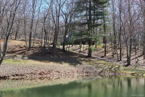 611 N Clove Road Millbrook NY 12545