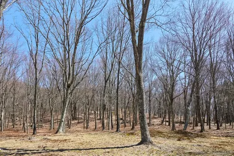 611 N Clove Road Millbrook NY 12545
